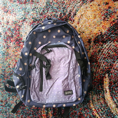Backpack used for school and travel