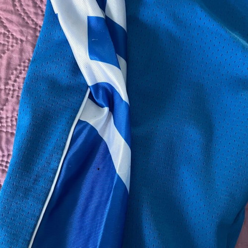Ethniki Ellados basketball shorts Champion blue size XL used