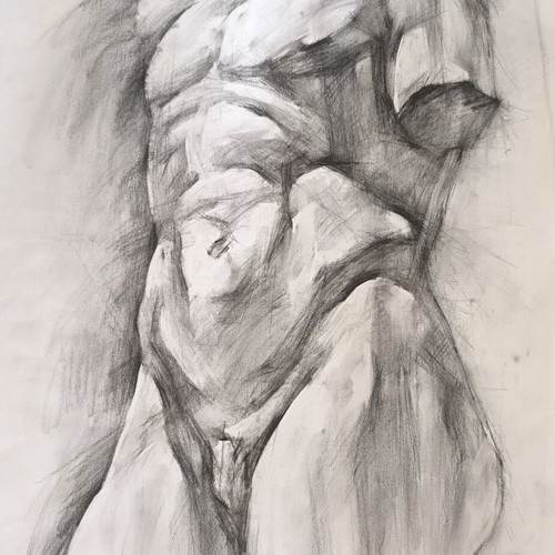 Original Charcoal Drawing on Ingres Paper Belvedere Male Torso Study like new