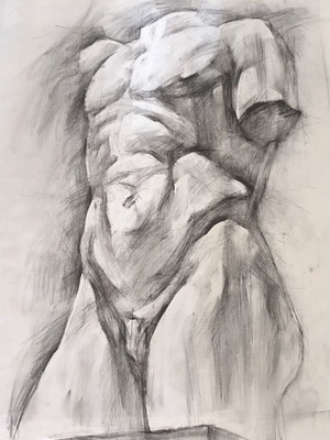 Original Charcoal Drawing on Ingres Paper Belvedere Male Torso Study like new