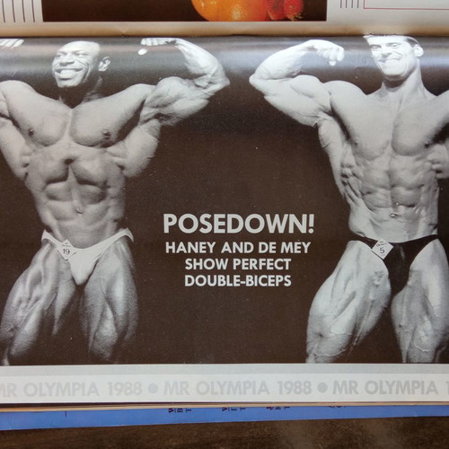 Muscle & Fitness issue 11 used