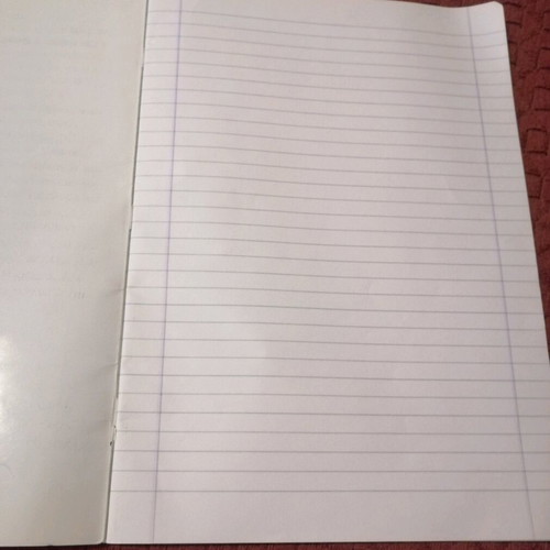 Sad Sam & Honey notebook used, large, 1995, 30x20 cm