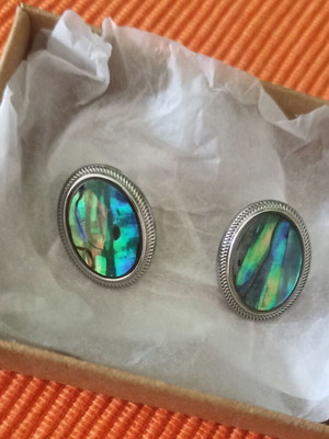Oval stud earrings with abalone stone made of steel new