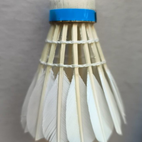 Badminton shuttlecocks new, 2 sets of 24 genuine duck feather and natural cork