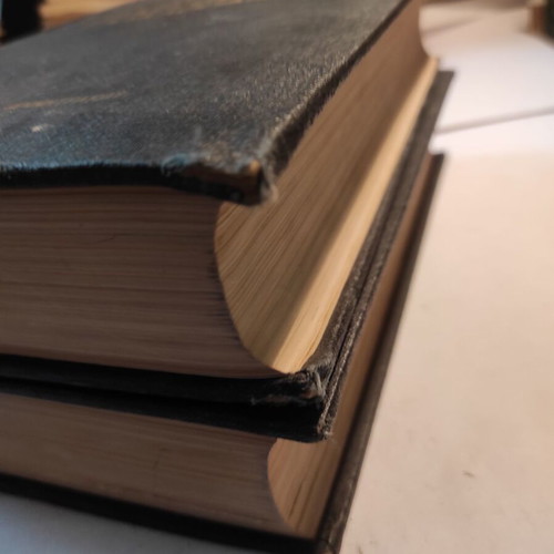 Proias Modern World Encyclopedia like new, two-volume set