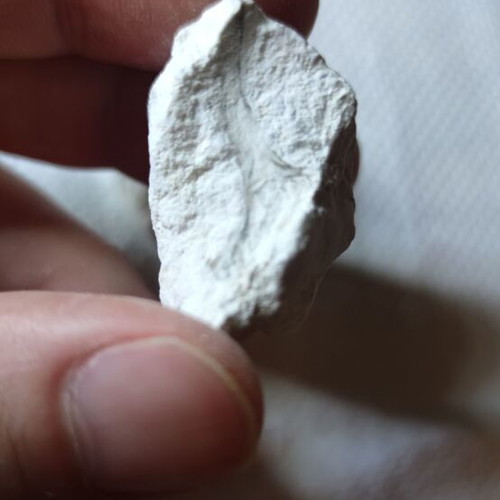 Magadiite mineral new from Kenya