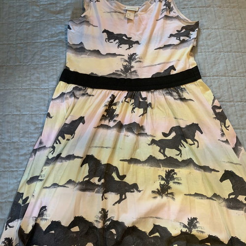 H&M organic cotton skater dress XS used, colorful