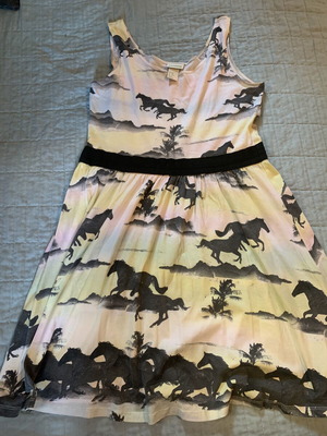 H&M organic cotton skater dress XS used, colorful