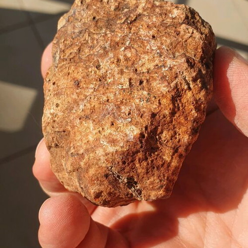 Fossilised wood from Evros, red color, new