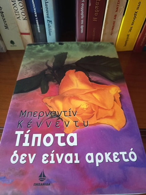 Nothing Is Enough book like new