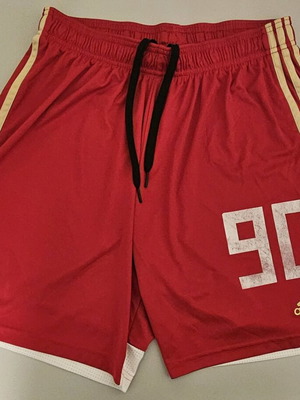 Olympiacos shorts matchworn used, Vasilis Sourlis 2020/2021