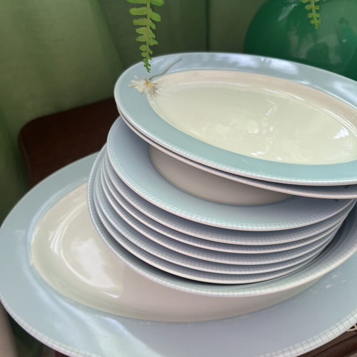 Dishes with design used