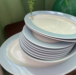 Dishes with design used