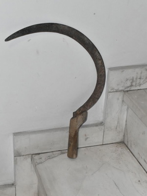 Handmade Sickle with Wooden Handle used, traditional farming tool