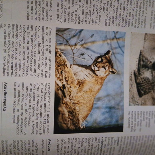 Zoology educational encyclopedia volume 11 like new