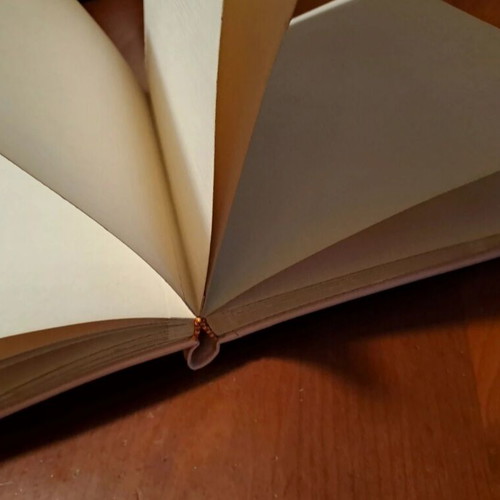 Photo album used for girl, leather with silver decoration