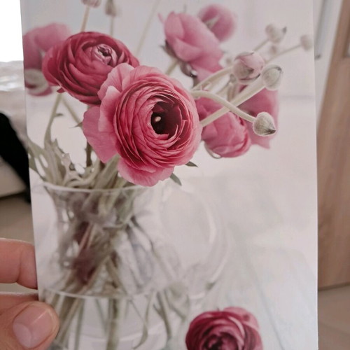 Peonies postcard new with envelope