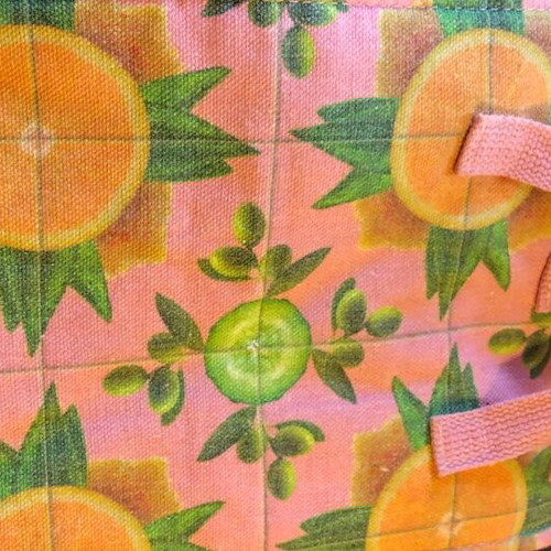 Lunch bag used from APIVITA