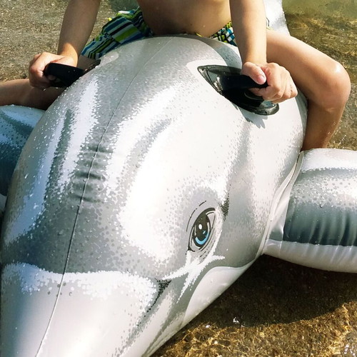 Inflatable dolphin used for sea and pool