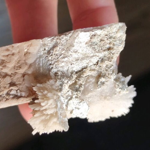 Asvestitis new, Greek specimen for collection