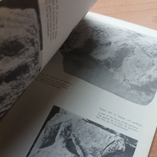Book Sounion The Ruins of Their History like new, English text