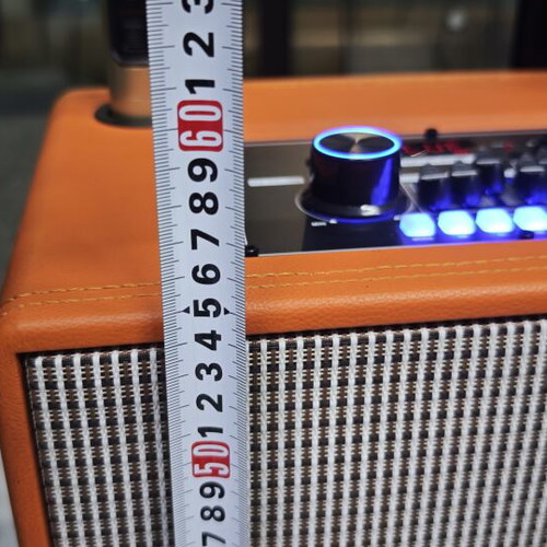 ANDOWL12MAX wireless karaoke speaker with 2 microphones