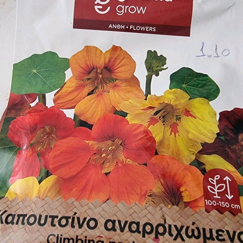 Seed packets new, barrel pumpkin, watermelon, melon
