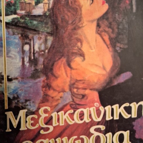 American Rhapsody used book