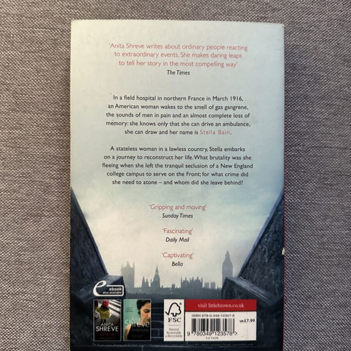 The Lives of Stella Bain book used, English
