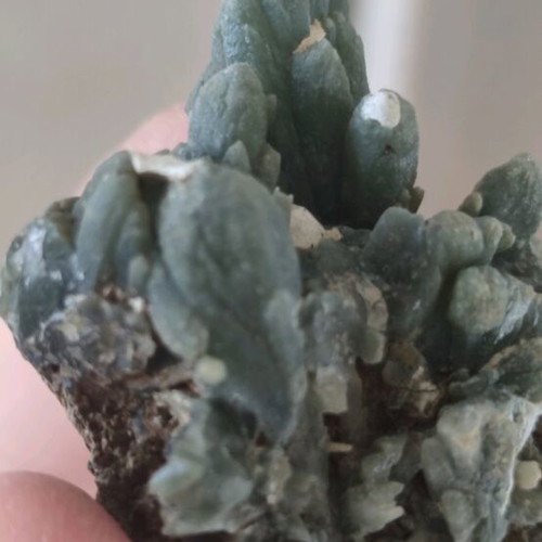 Prasios new mineral formation