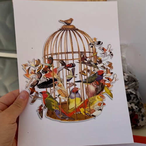 Bouquet of Birds puzzle by Galison new, 750 pieces