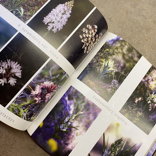 Natura Chia book like new by Pantelis D. Saliaris