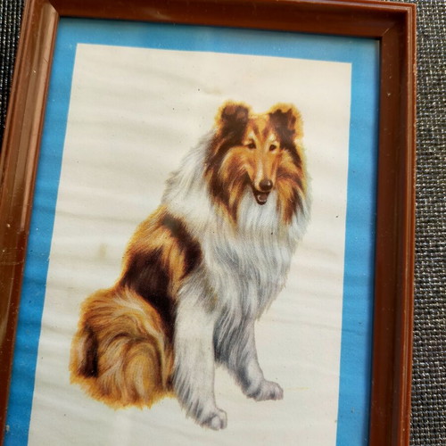 Collection of 4 framed animal art prints from England