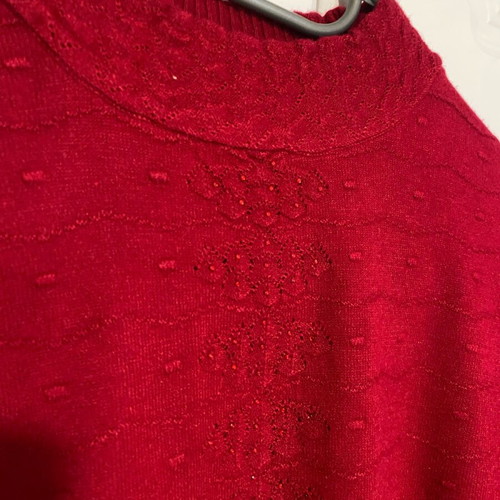 Red pullover turtleneck with details