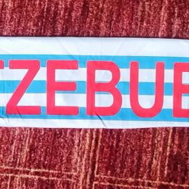 Luxembourg National Scarf like new with red lion emblem