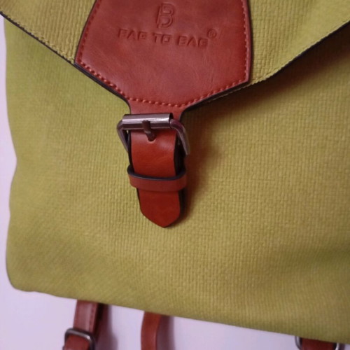 Bag to Bag Backpack Green Like New
