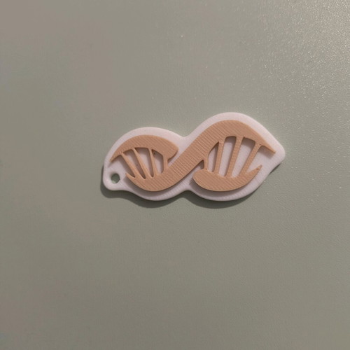 3D printed various keychains new