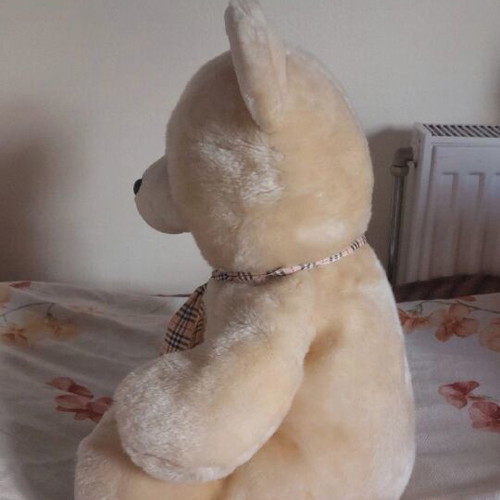 Teddy bear like new medium size white with ribbon