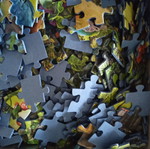 Ravensburger EXIT Puzzle Kids Jungle Expedition 368 pieces used