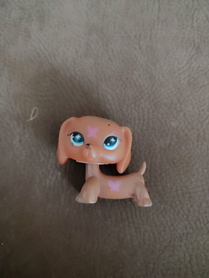 LPS Littlest Pet Shop Dachshund Dog collectible, like new, blue eyes #1010
