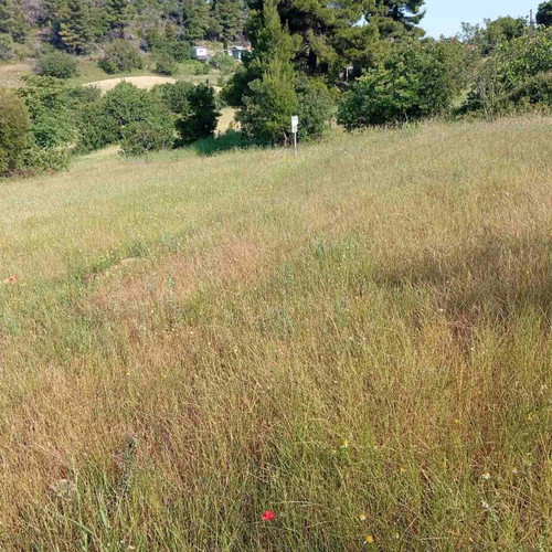 Land 520 sqm in Milies Istiaias, buildable, within city plan