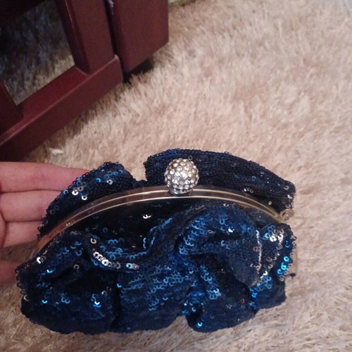Evening Handbag Blue New