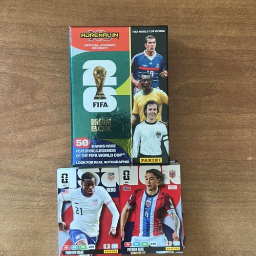 Panini Cards FIFA World Cup bundle like new, 118 cards