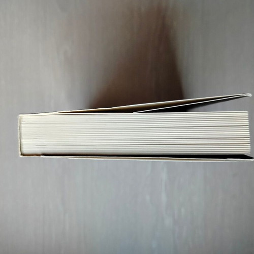 The Mania with Caravaggio book like new