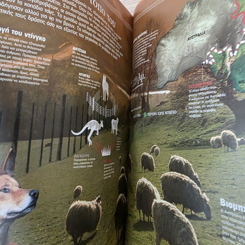 Atlas of Sciences Mammals book like new