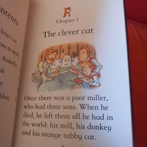Puss in Boots children's book used, very good condition