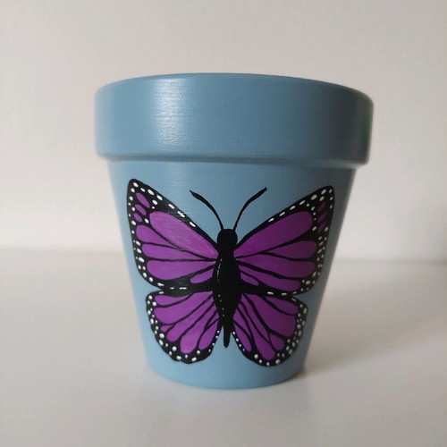 Hand-painted clay flowerpot new with butterfly design