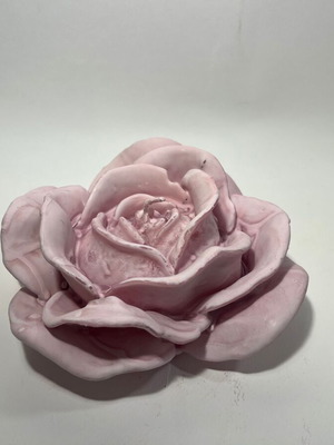 Wax rose purple, new
