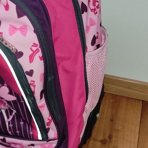 School trolley bag 30lt and Polo pencil case used, Belike Ballerinas design