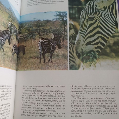 Walt Disney The Life of Animals book
